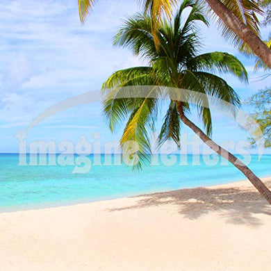 Imagine Letters Caribbean Beach with Palm Tree. Art Print 12 X 12 - with Optional Frame 18 X18. Art Print 12 X 12 - with Optional Frame 18 X18. - MCA supply